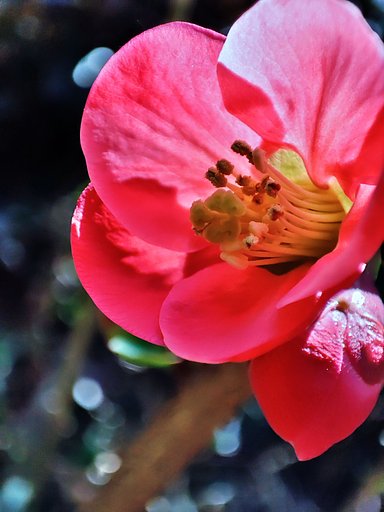3月16日の写真