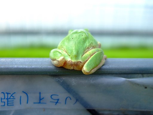 さ、行くか〜・・・