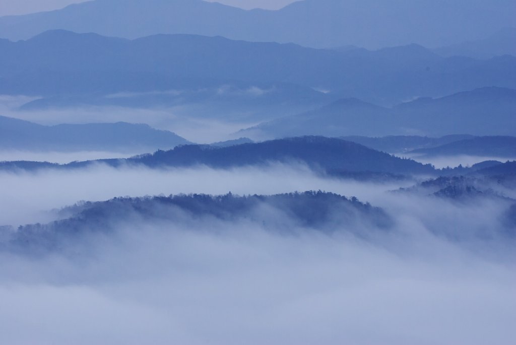 霧をもう一枚