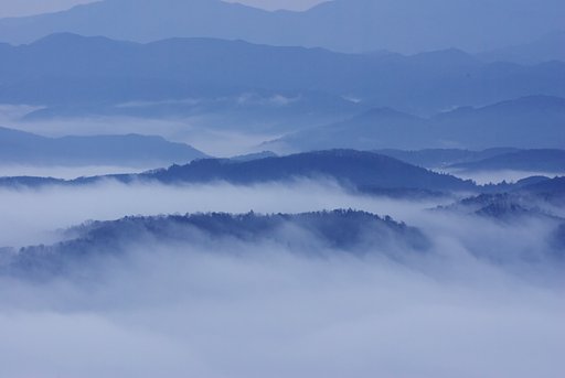 霧をもう一枚