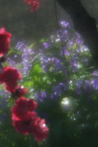 春の朝