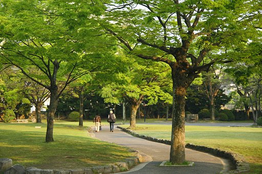 人生の小道を斜光が照らす