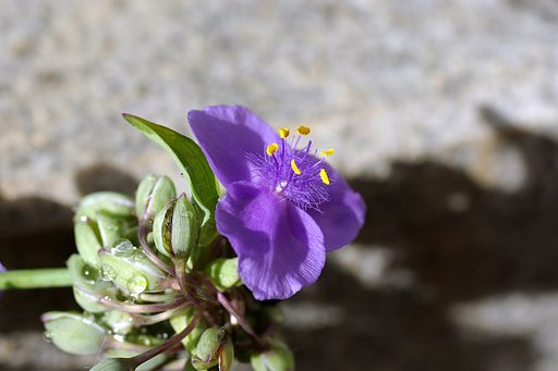 繊細な・・・