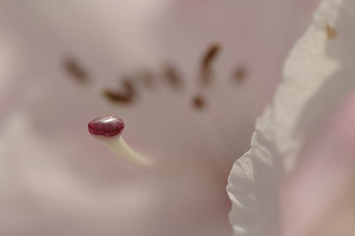 5月5日の写真
