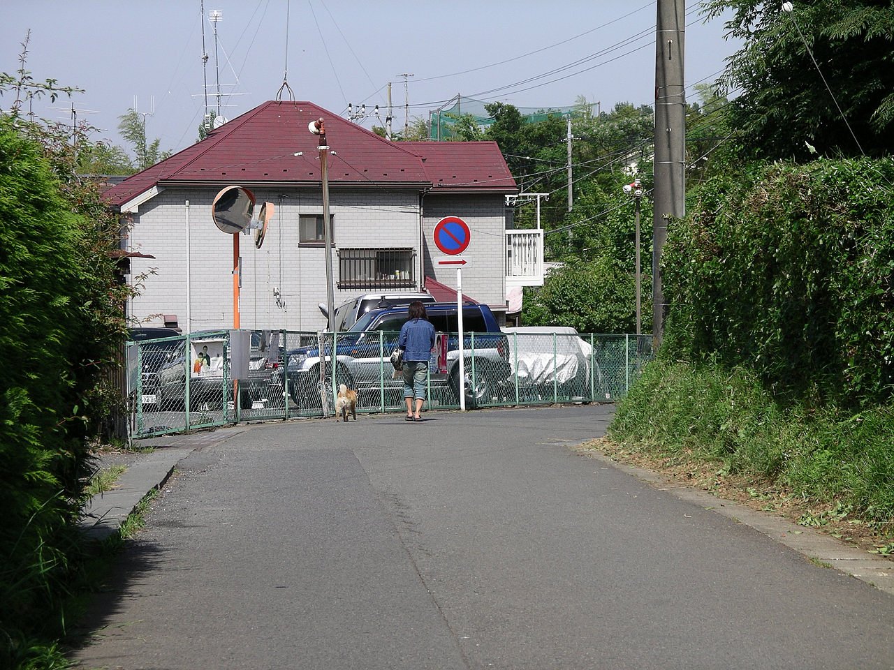夏のような昼下がり