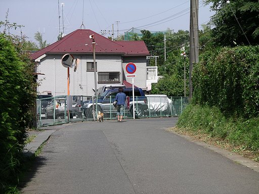 夏のような昼下がり