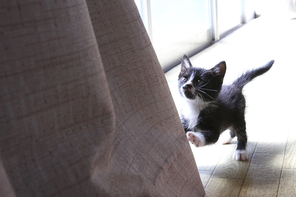 入院中