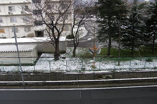 春の雪