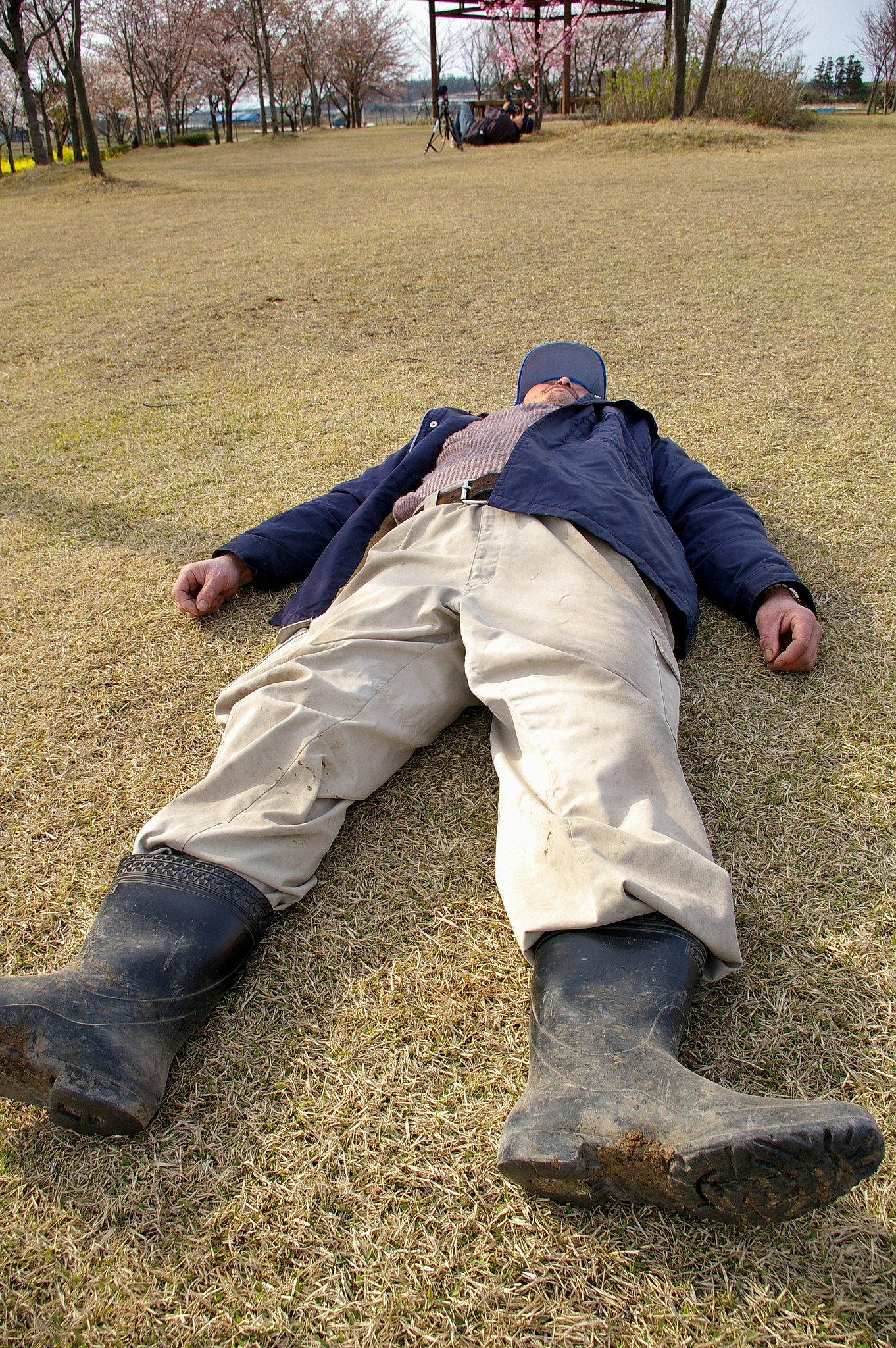オジサンの春