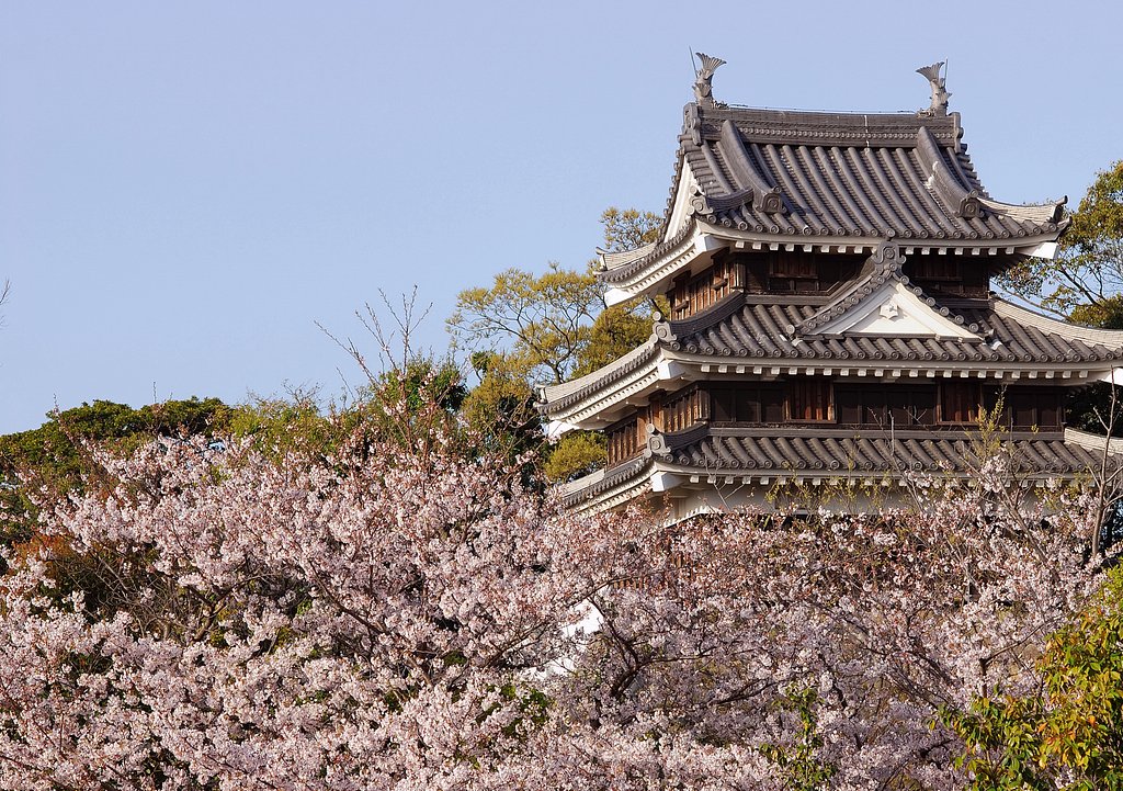 城址公園の桜