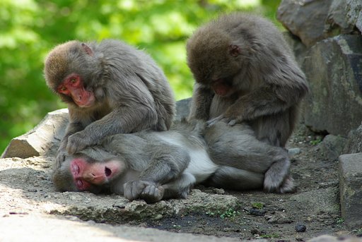 ああいい気持ち