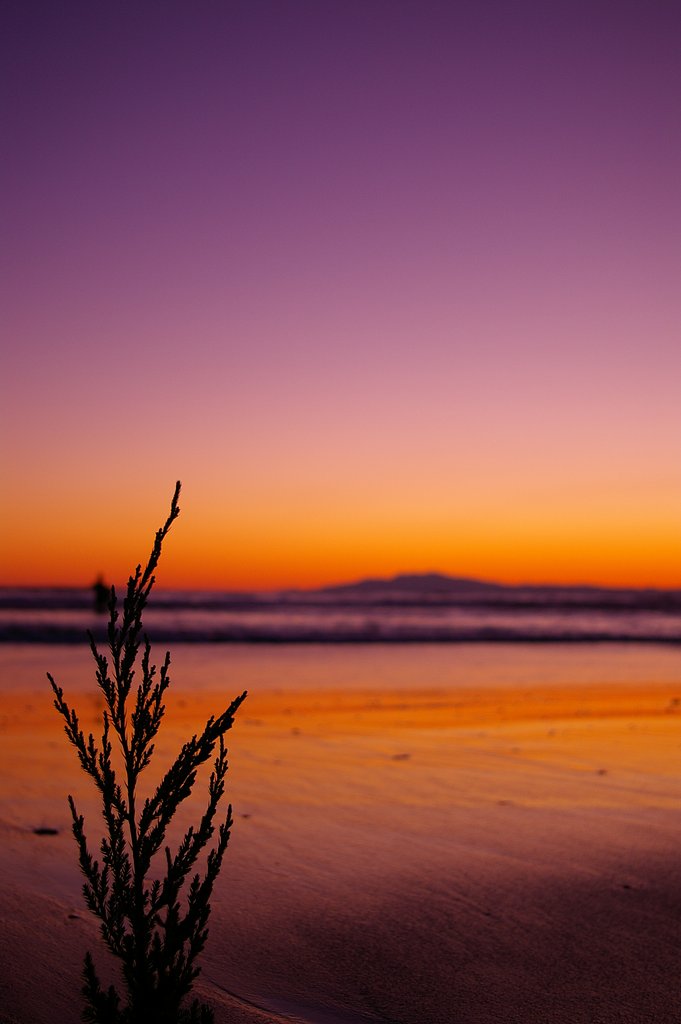 夕暮れ