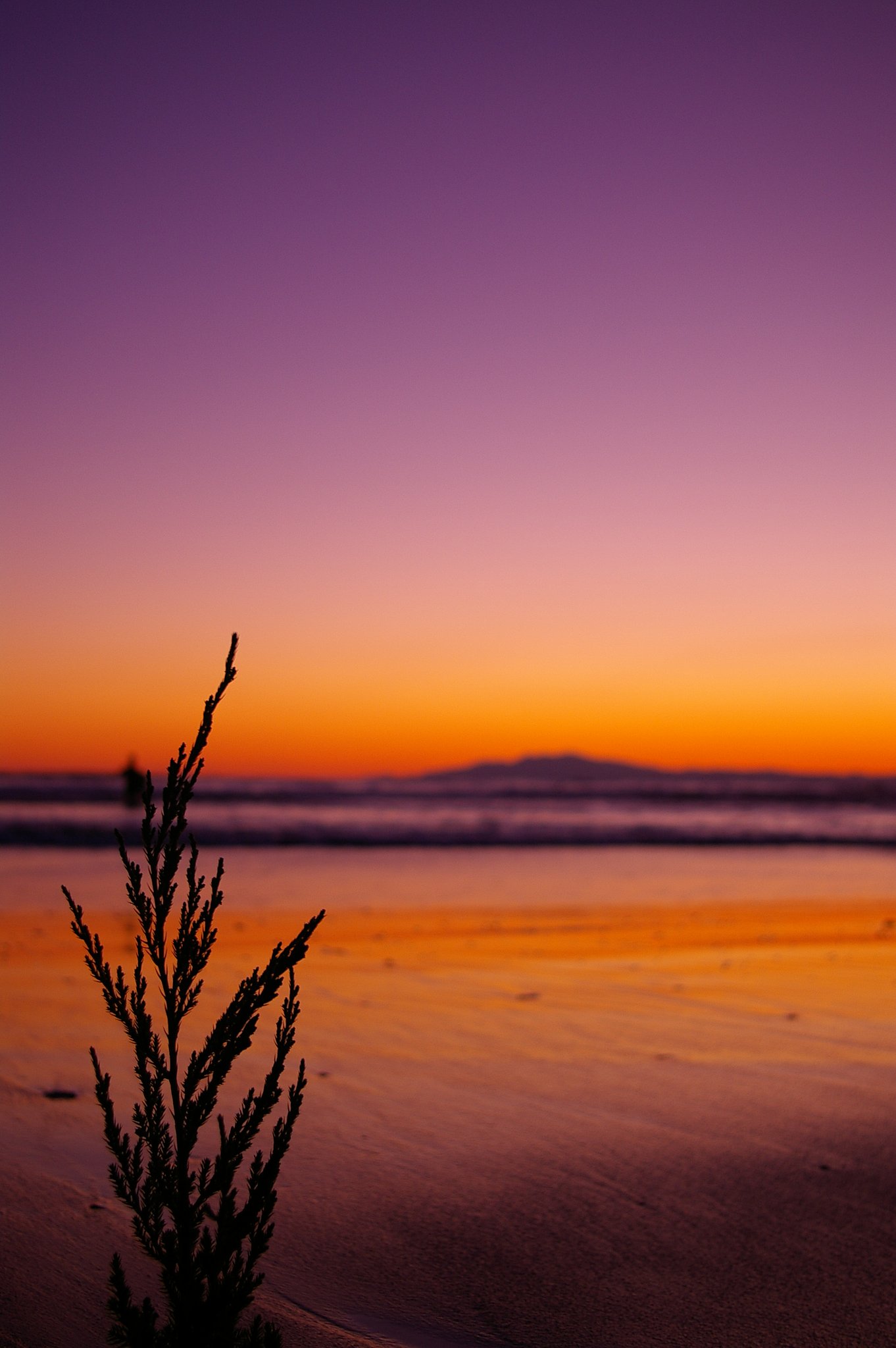 夕暮れ