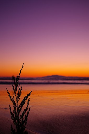 夕暮れ