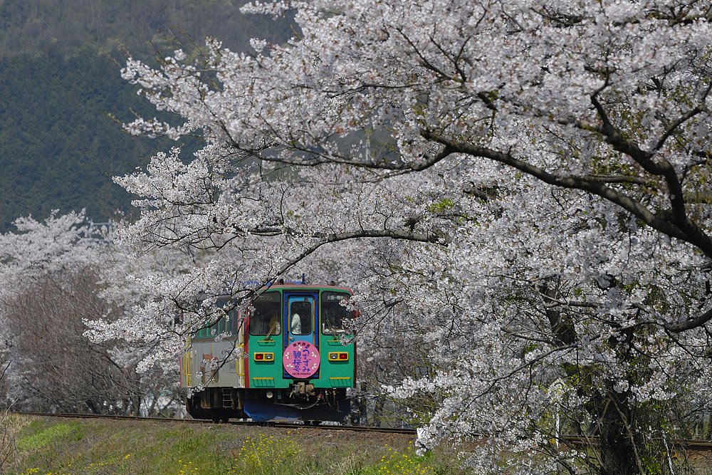 樽見鉄道