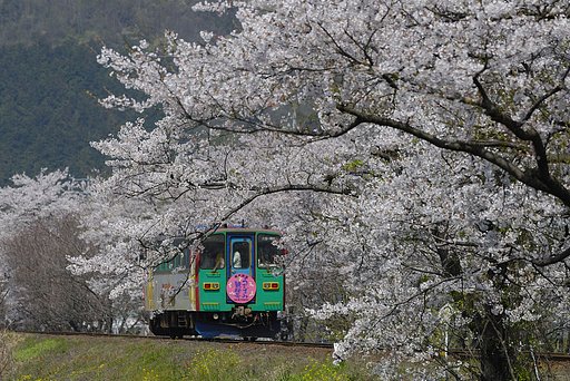 樽見鉄道