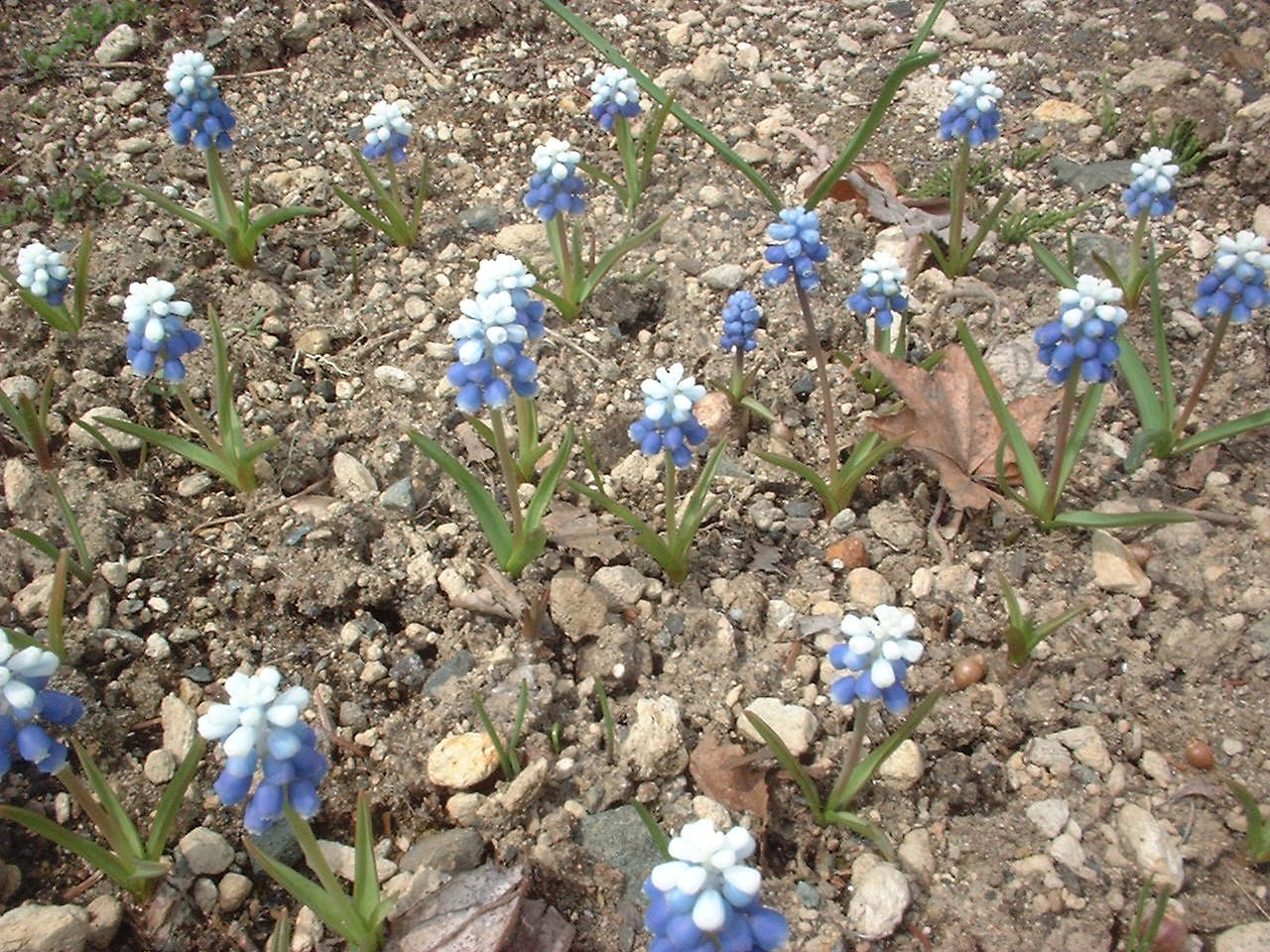 小さくて