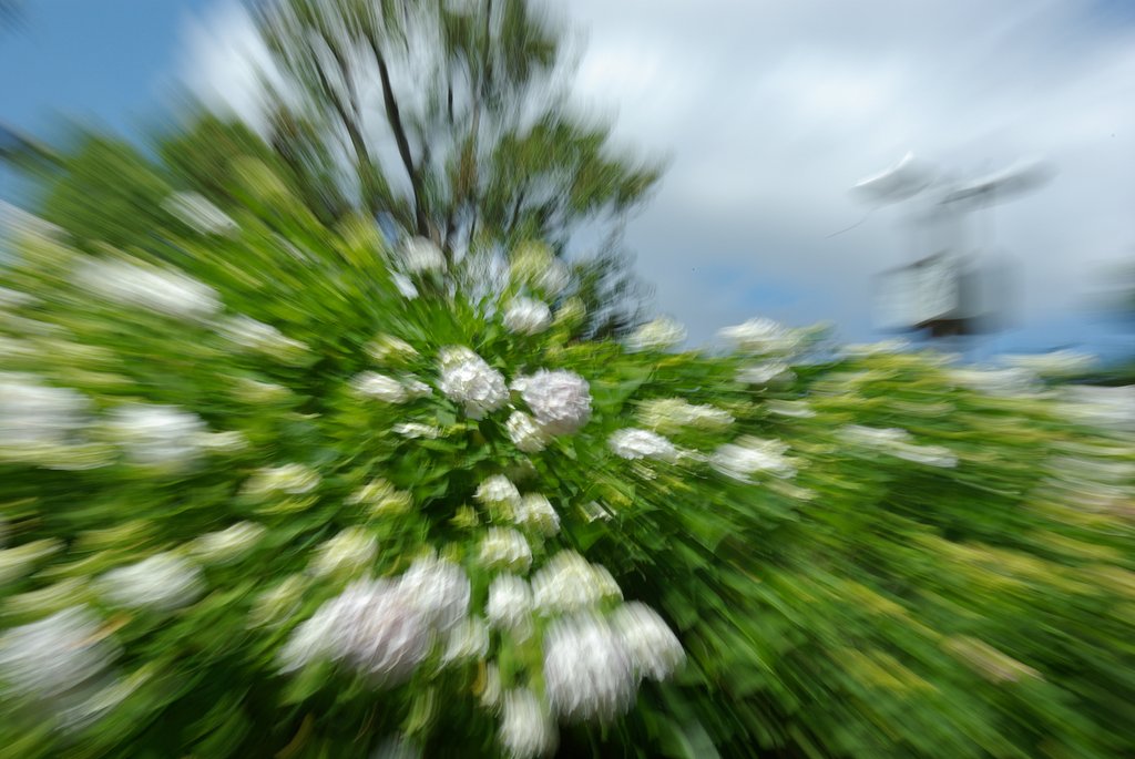 『旬』旬ですな〜