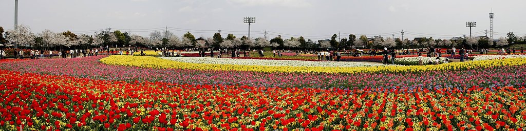 なばなの里