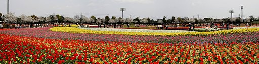 なばなの里