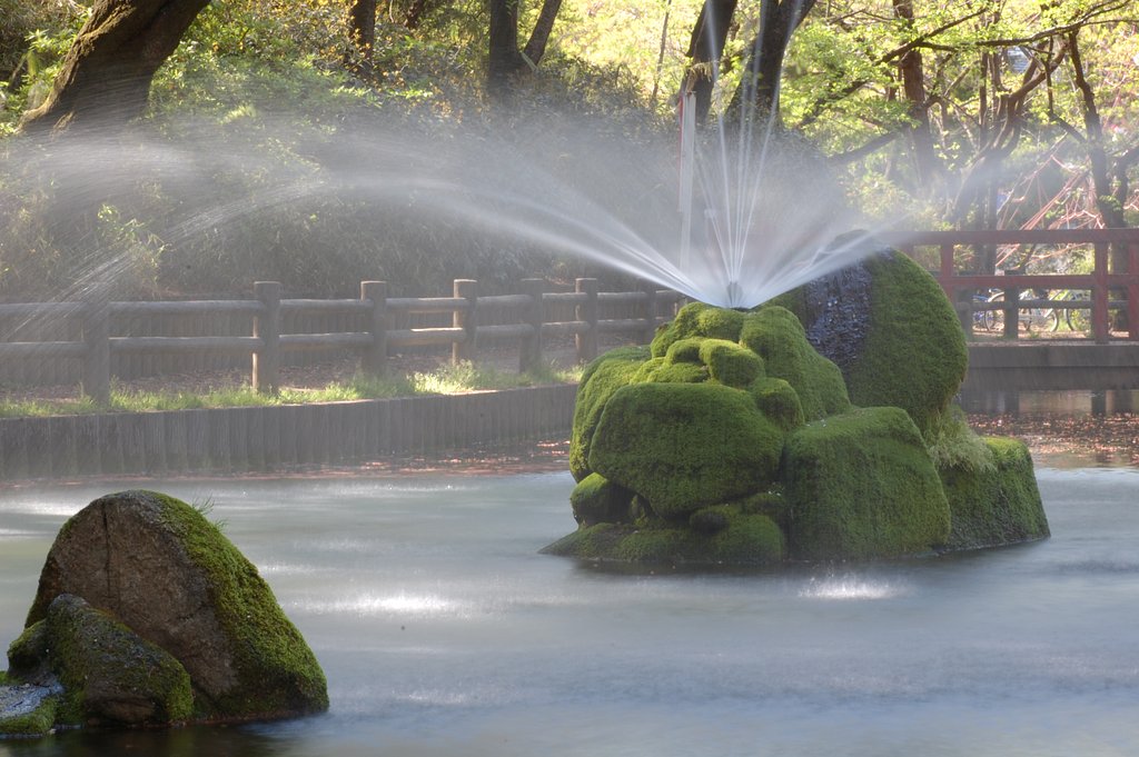 午後の公園