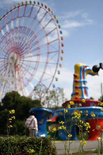 『花』気分転換