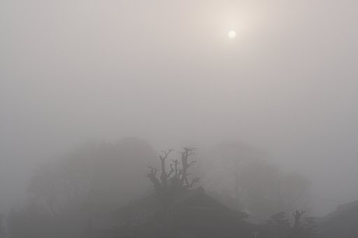 濃霧