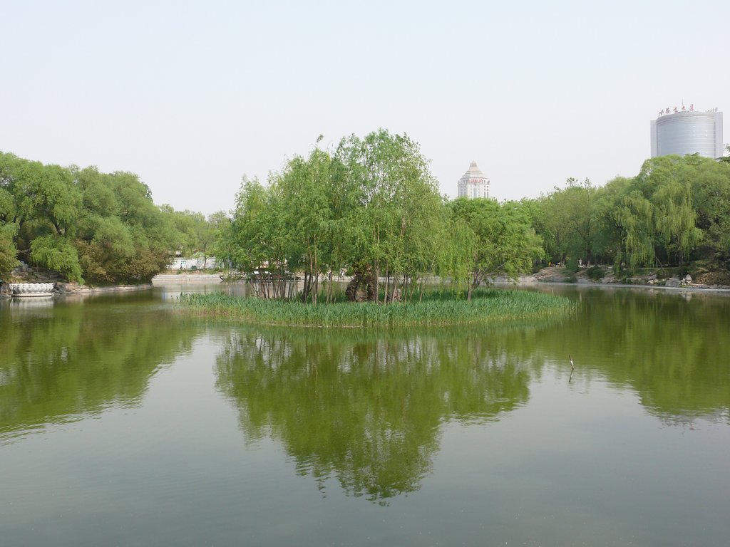湖中島