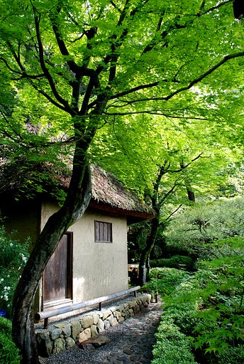 鈴虫寺