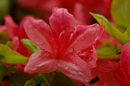 雨の日に