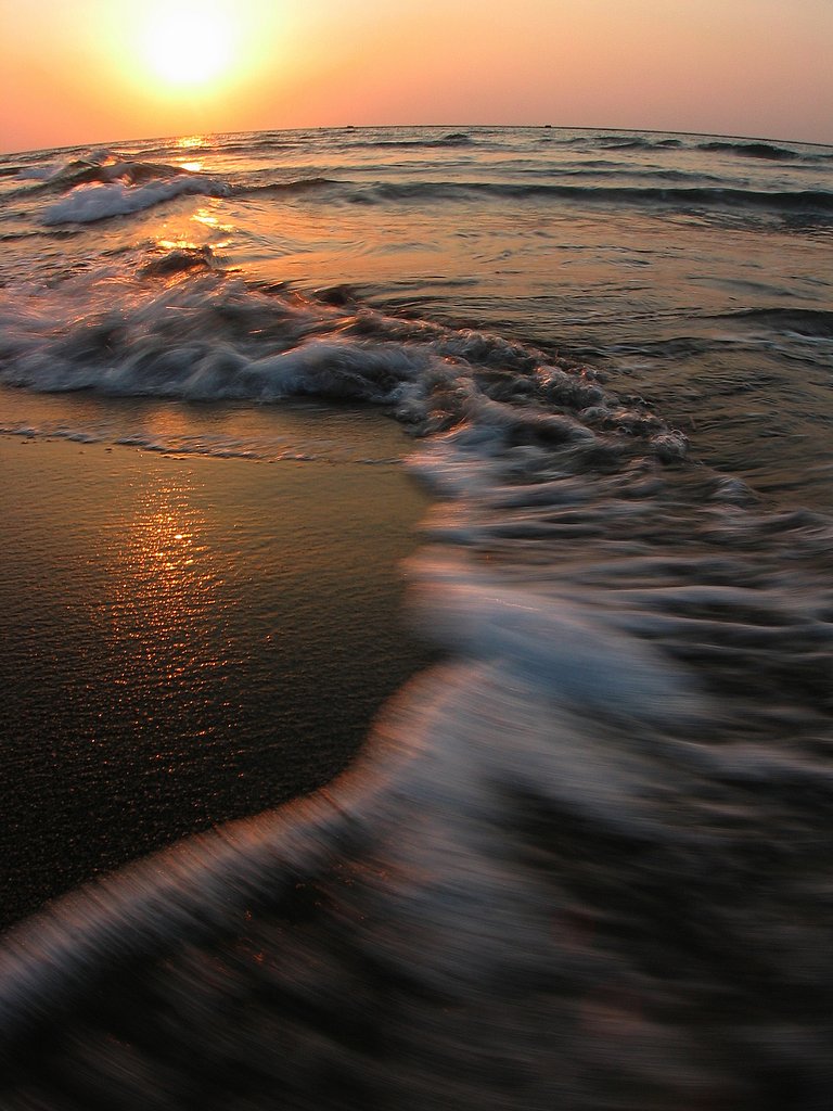 夕照海岸