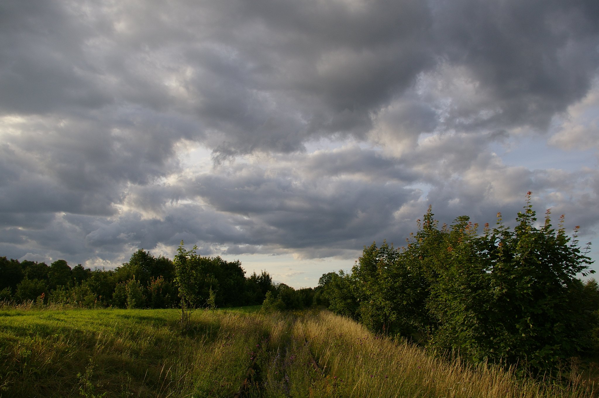 Polish scenery - 1