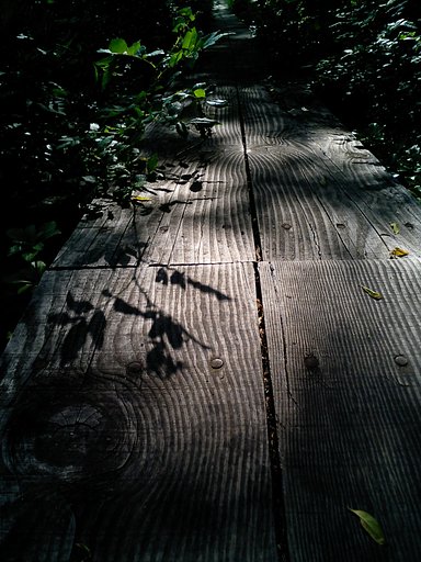 木道