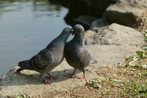 暑いのにお熱いのが好き