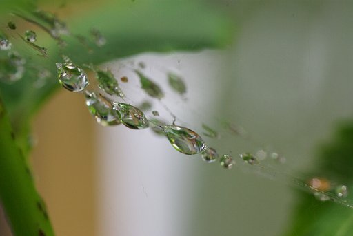 雨上がり