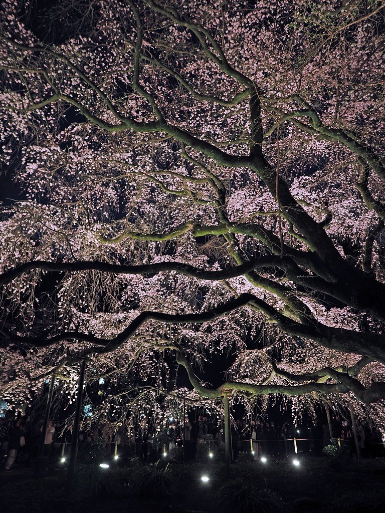 春夜の礼拝