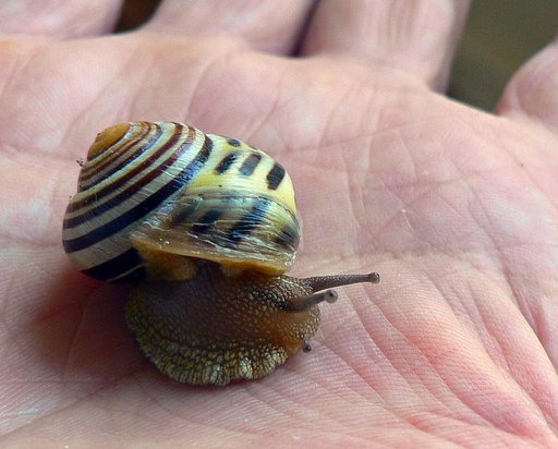 ちょっと照れ気味？