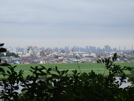 見晴らし