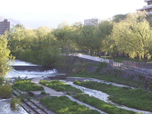 春の川