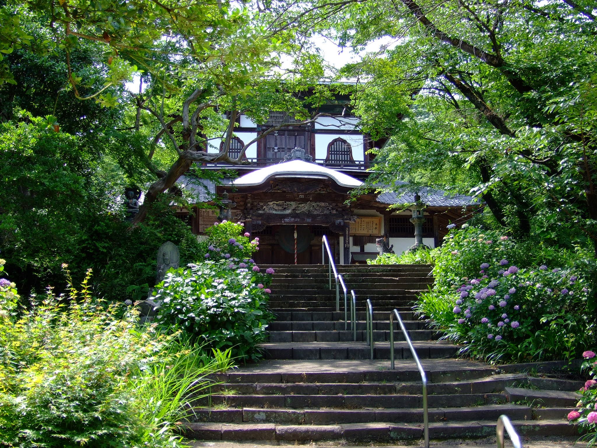 紫陽花の咲く観音堂