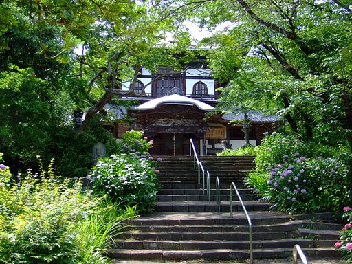紫陽花の咲く観音堂