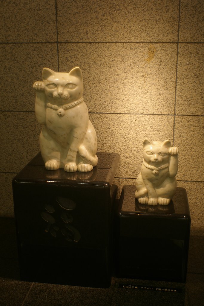 いらっしゃーい