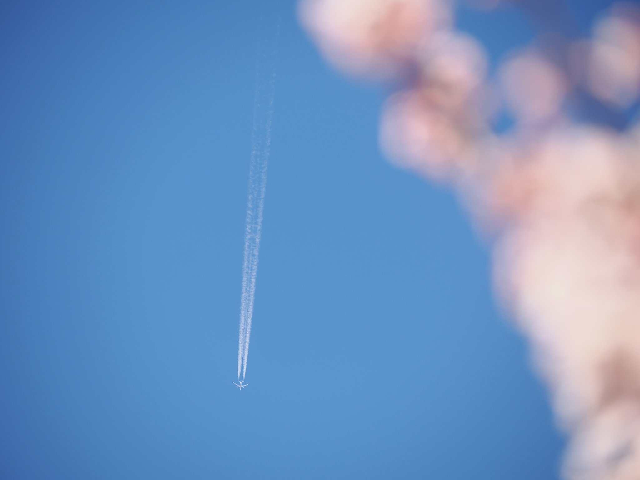 春の空
