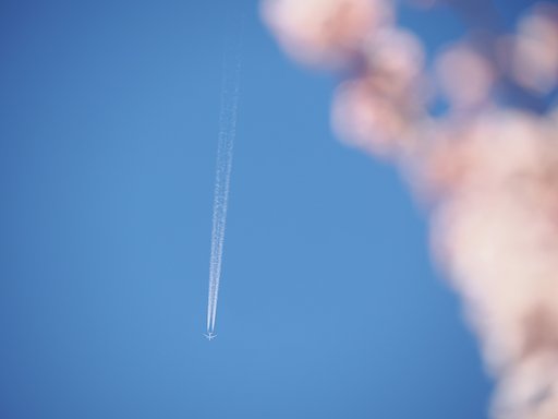 春の空
