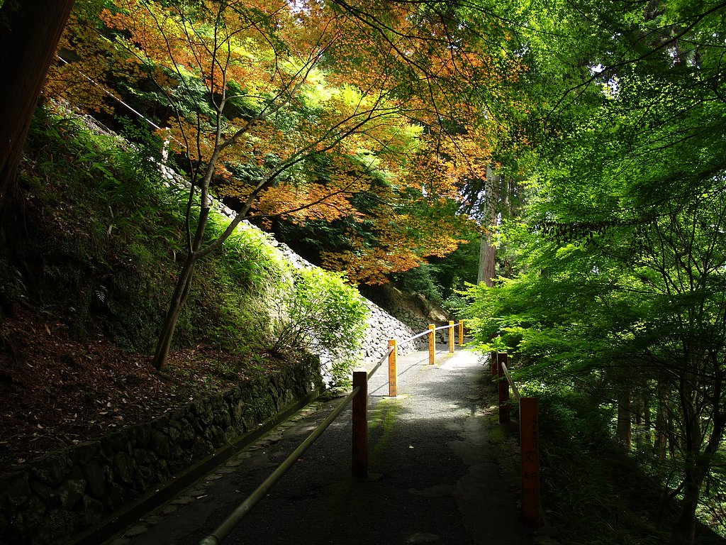 善峯寺へ