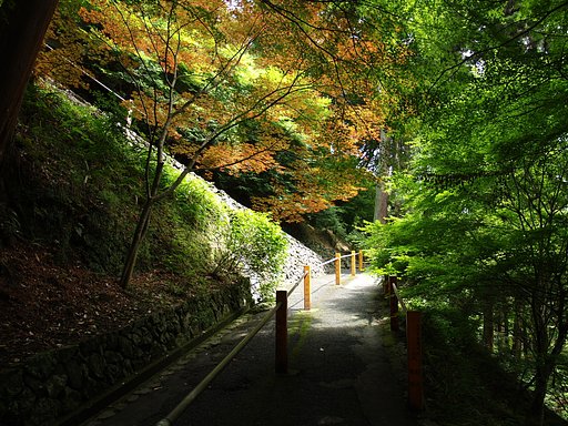 善峯寺へ