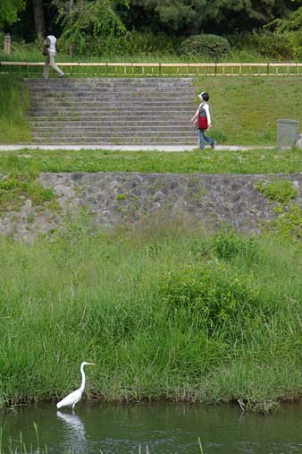 散歩