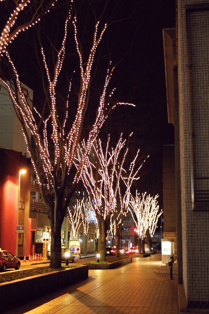 芸術館の夜！Ⅱ