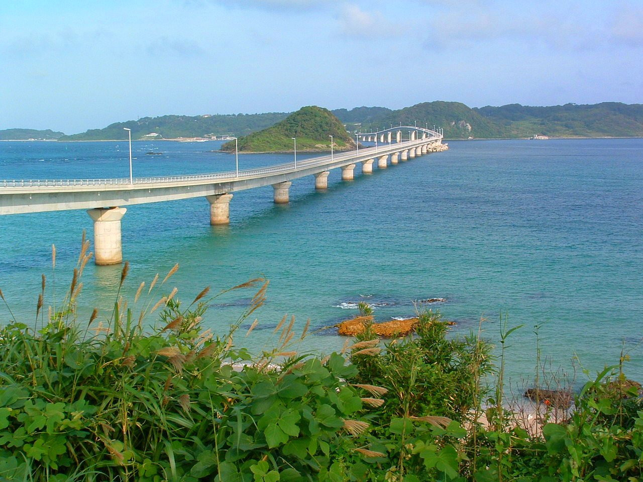 夏近し…