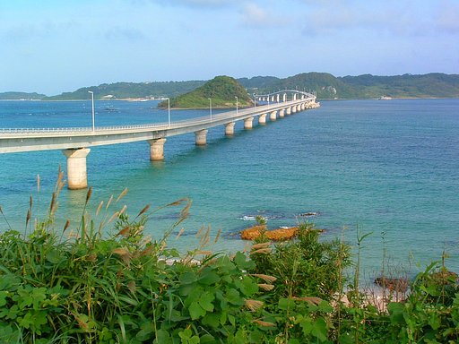 夏近し…